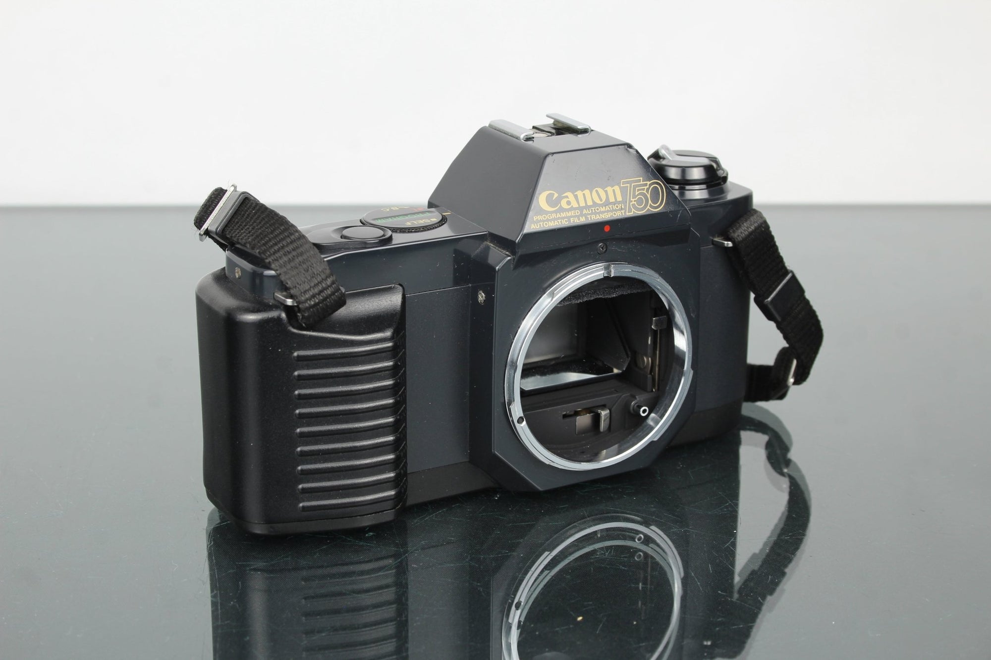 Canon T50 - Dutch|Thrift