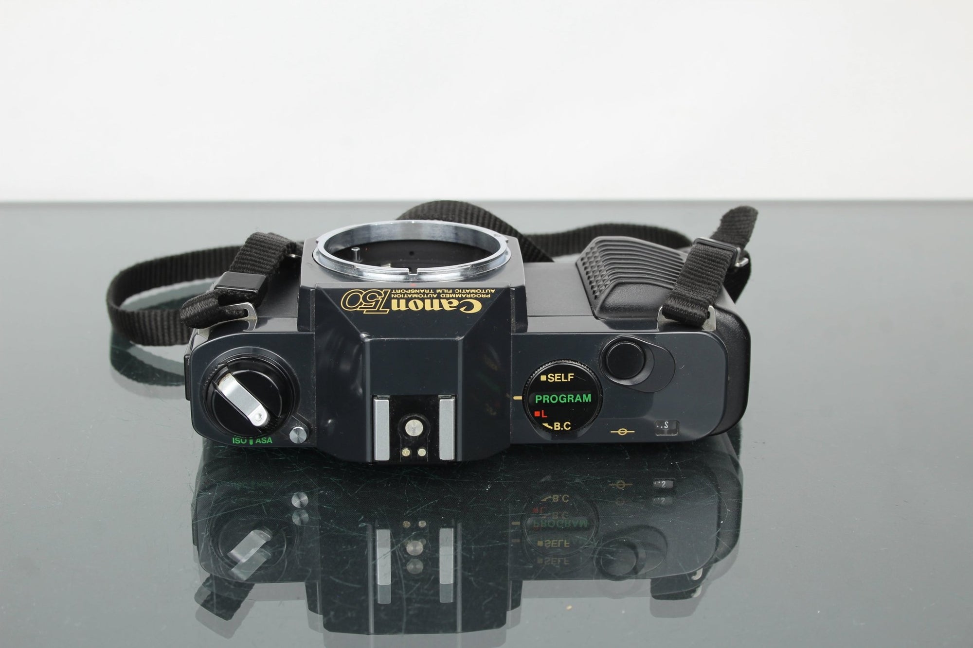 Canon T50 - Dutch|Thrift