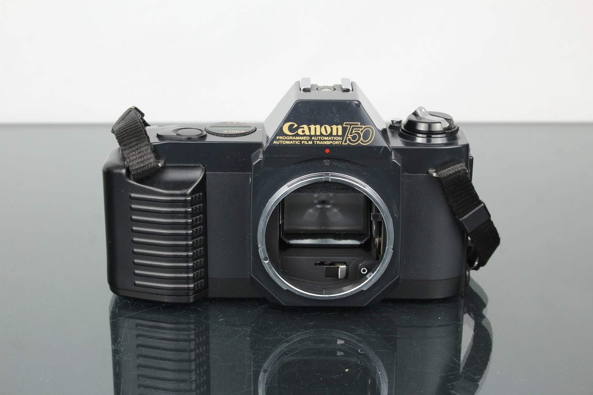 Canon T50 - Dutch|Thrift
