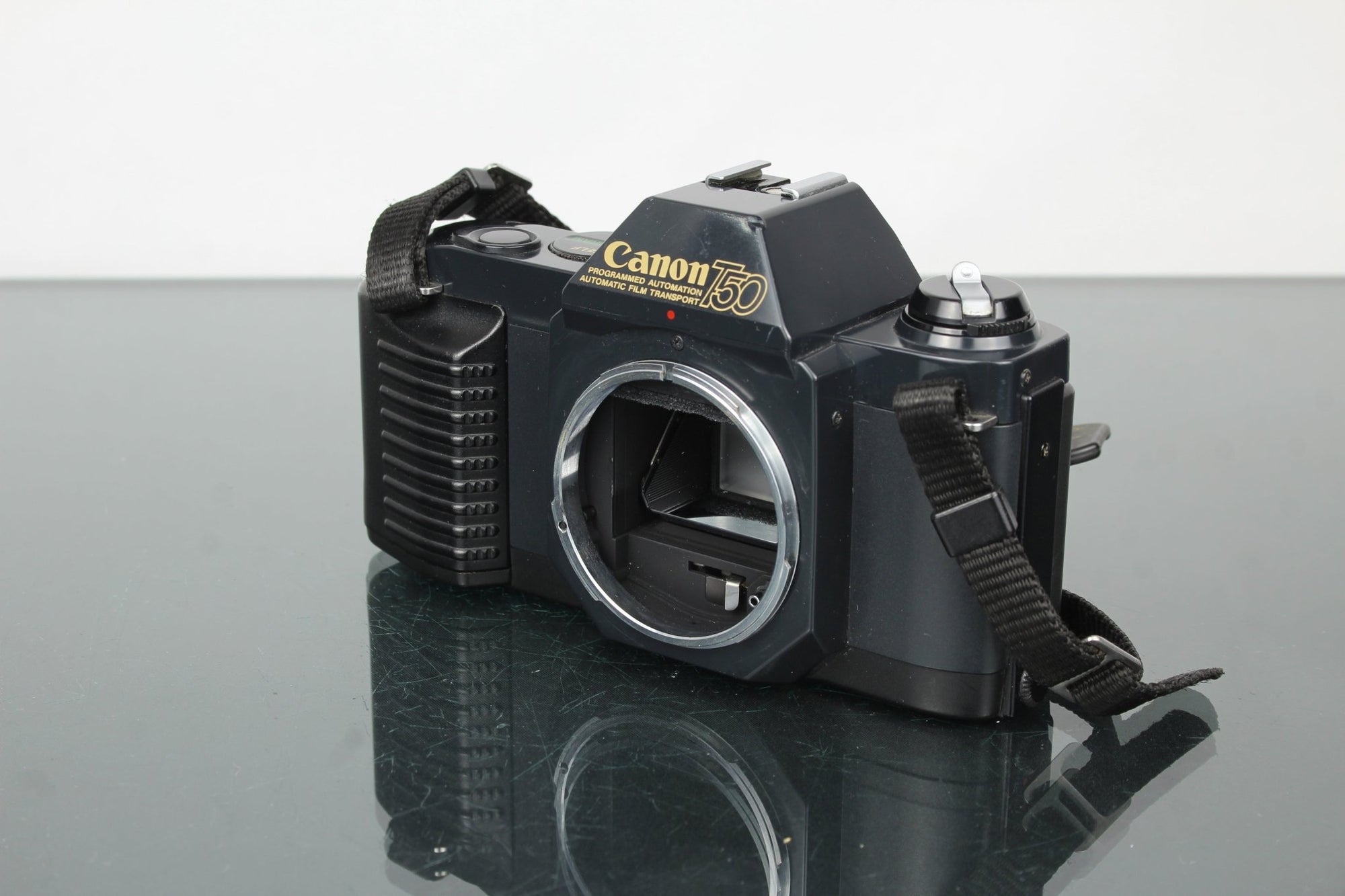 Canon T50 - Dutch|Thrift