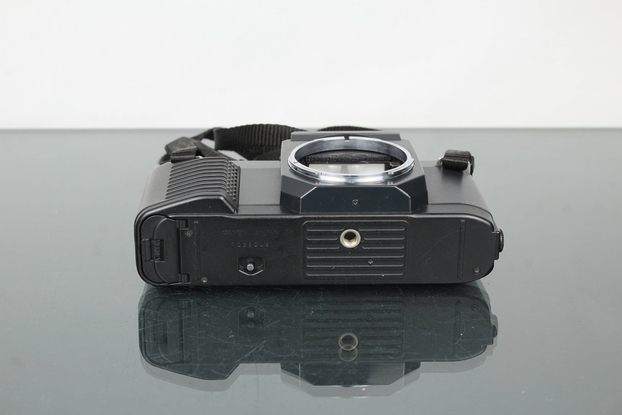 Canon T50 - Dutch|Thrift